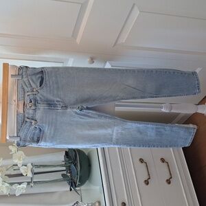 Everlane Light Wash Ankle Jeans Size 28